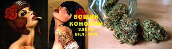 spice Богданович